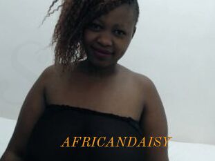 AFRICANDAISY