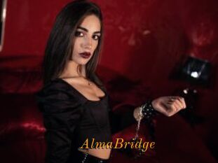 AlmaBridge