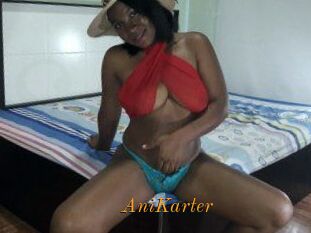 AniKarter