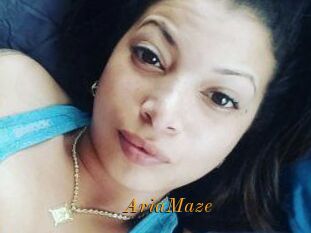 Aria_Maze