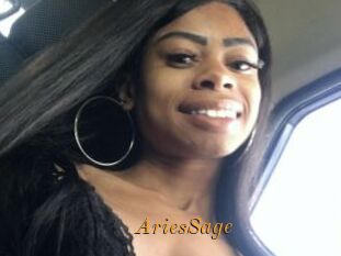 AriesSage