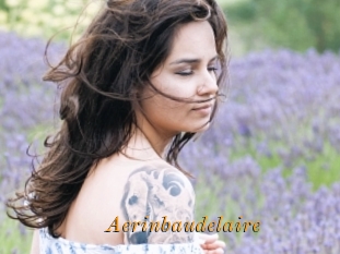 Aerinbaudelaire