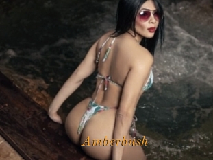 amberbush Salopes Blacks