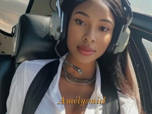 Amelysmid