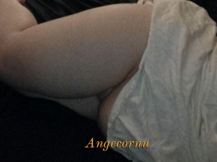 angecornu Salopes Blacks