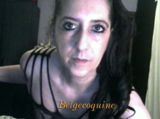 Belgecoquine