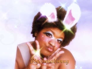 Bigcinnabunny