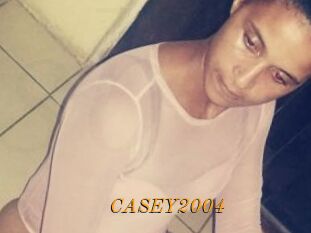 CASEY2004