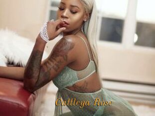 Cattleya_Rose