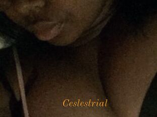 Ceslestrial