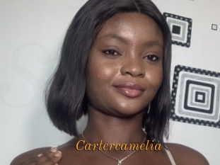 Cartercamelia
