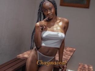 Chaynascot