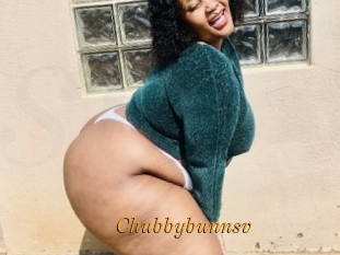 Chubbybunnsv