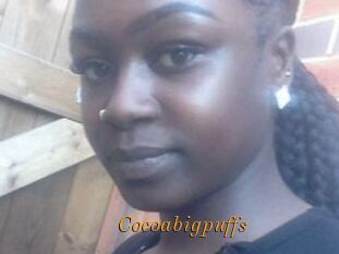Cocoabigpuffs