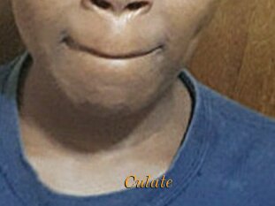 Culate