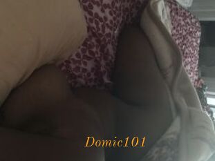 Domic101