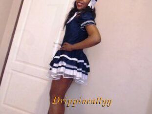 Drippincattyy