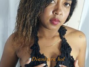 Dianhara_hot