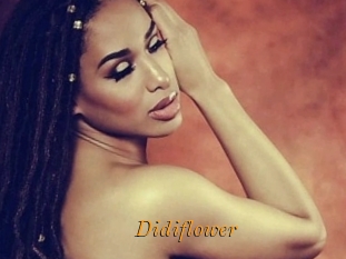 Didiflower