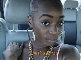 Emilia_Maze