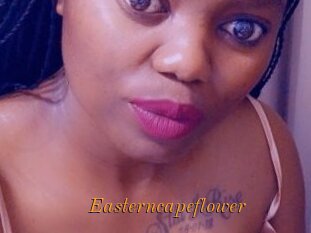 Easterncapeflower