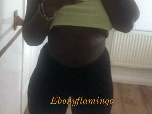 Ebony_flamingo