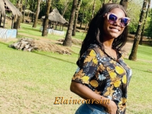 Elainecarsim
