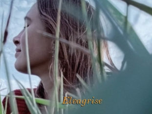 Elvagrise