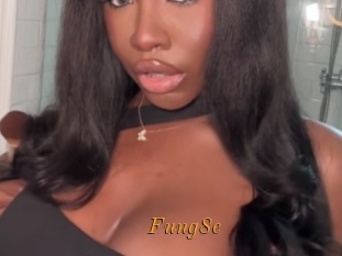 Fung8e