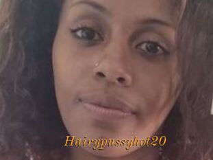 Hairypussyhot20