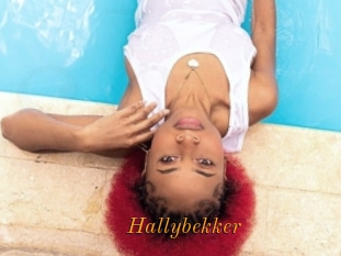 Hallybekker