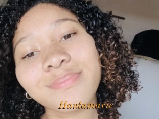 Hantamarie