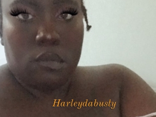 Harleydabusty