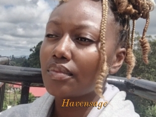 Havensage