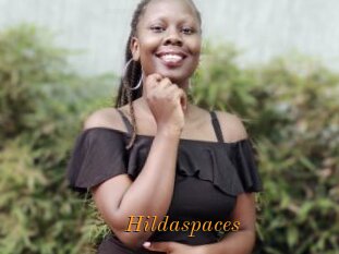 Hildaspaces
