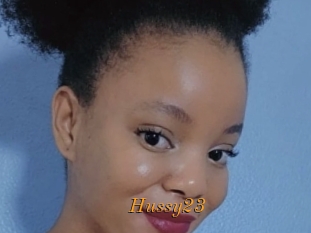 Hussy23