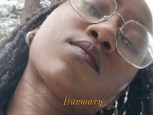 Iluvmary