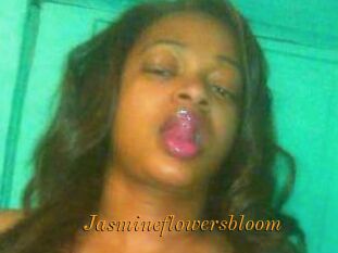 Jasmineflowersbloom