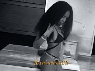 Kaninchen23