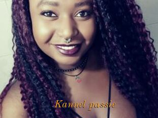 Kannel_passie