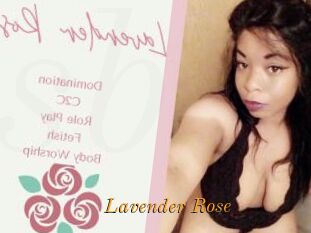 Lavender_Rose