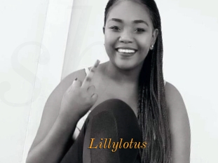 Lillylotus