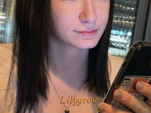 Lilygrows