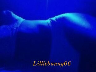Littlebunny66
