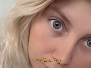 Littlesary