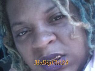 MsBigClit23