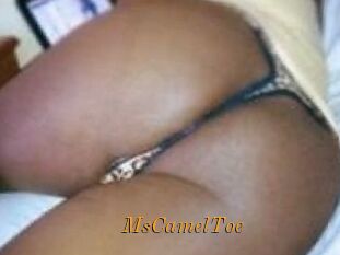 MsCamelToe