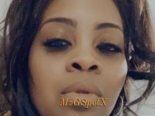 MzGSpotX