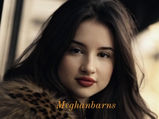Meghanbarns