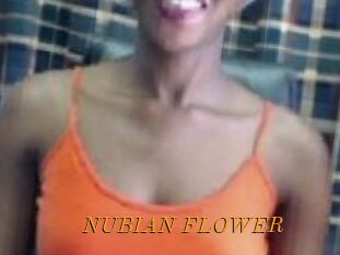 _NUBIAN_FLOWER_